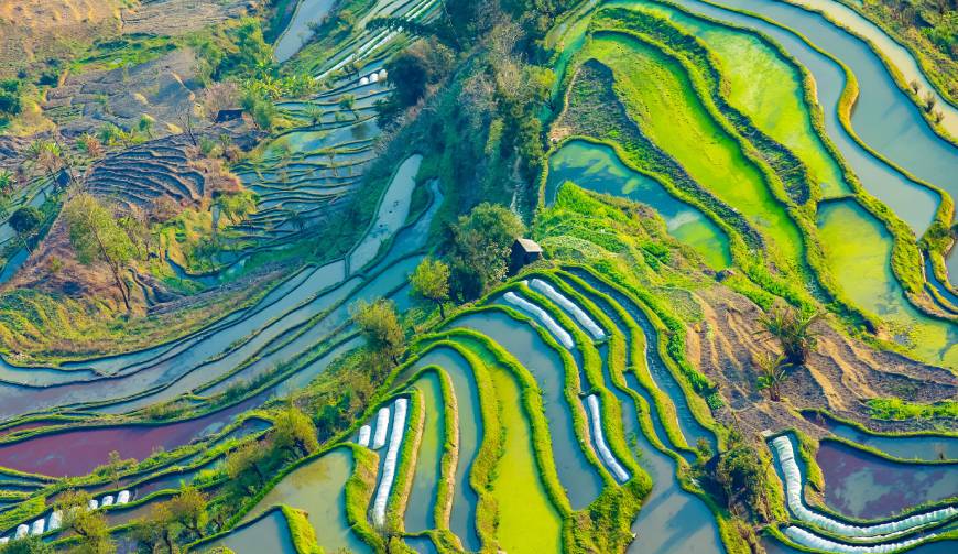 宝妈必备神器：乌伊岭区产品视频拍摄轻松育儿好帮手
